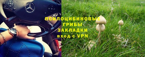 ALPHA PVP Алексеевка