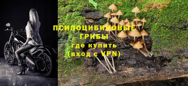 мет Алзамай